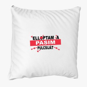 Elloptam a pasim pulcsiját párna