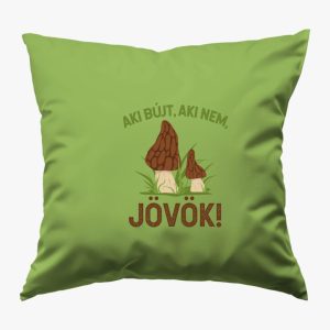 Aki bújt, aki nem, jövök! párna